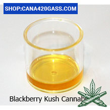 Bubble Gum Cannabis Oil