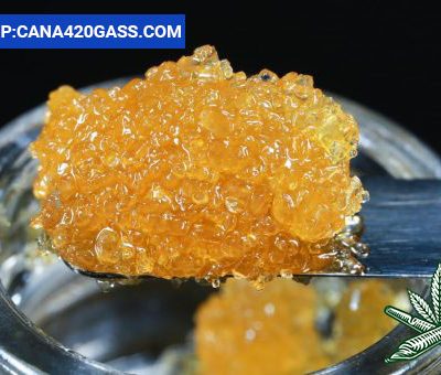 Live Resin Cannabis Concentrates