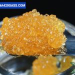 Live Resin Cannabis Concentrates