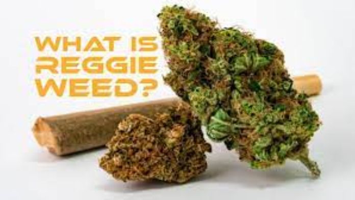 The Benefits of Growing Reggie Weed: A Comprehensive Guide | Premium